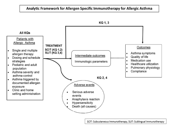 Figure 1. This figure depicts the key questions (KQs) within the context of the PICOTS and subgroups described in the previous section. In general, the figure illustrates how immunotherapy administered to patients with allergic asthma may result in intermediate outcomes such as changes in immunologic parameters and/or outcomes such as improvement of symptoms and quality of life and reduction of medication use. In addition, adverse events may occur at any point after treatment is received.